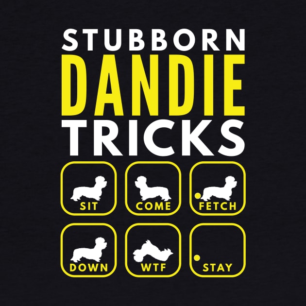 Stubborn Dandie Tricks - Dog Training by DoggyStyles